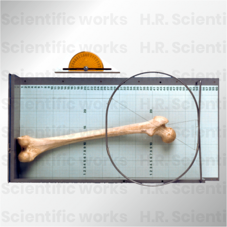 OSTEOMETRIC BOARD1